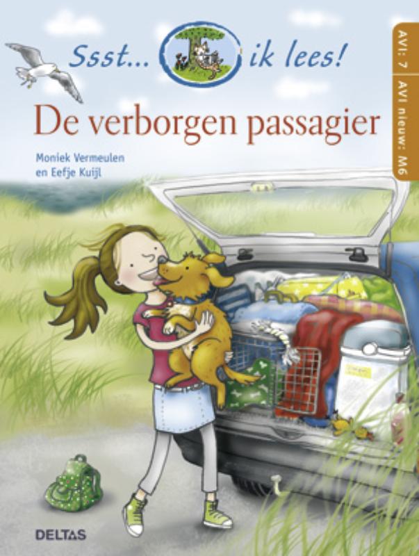 Omslag van De verborgen passagier