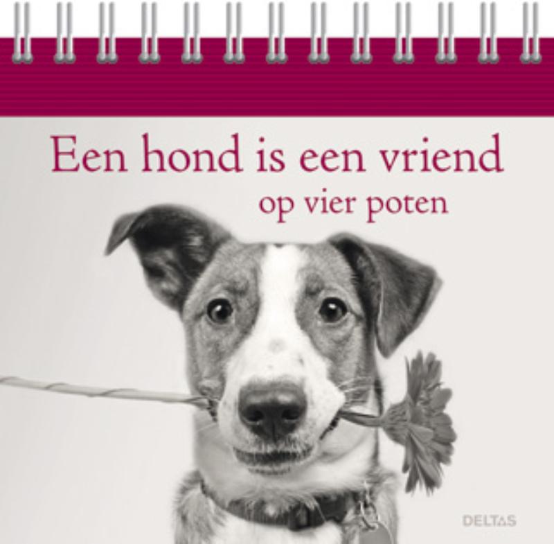Omslag van Een hond is een vriend op vier poten