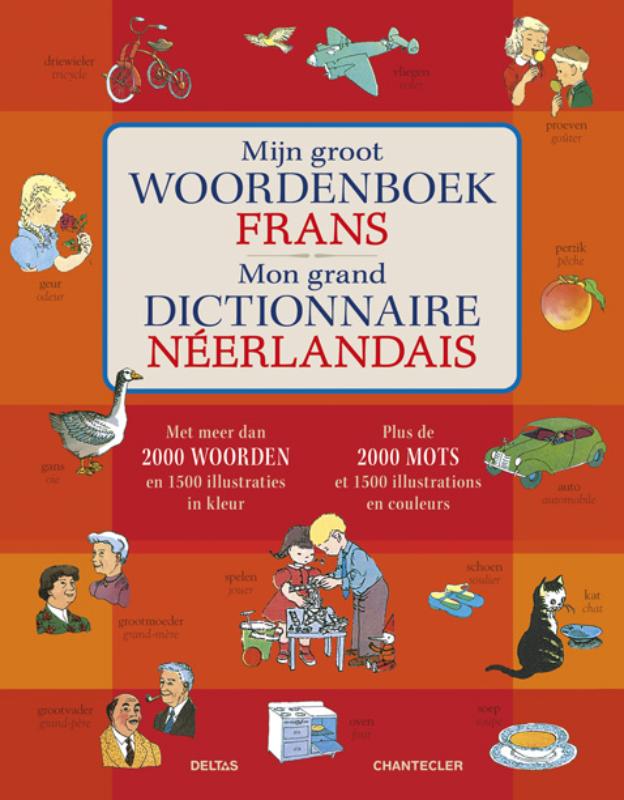 Omslag van Mijn groot woordenboek Frans