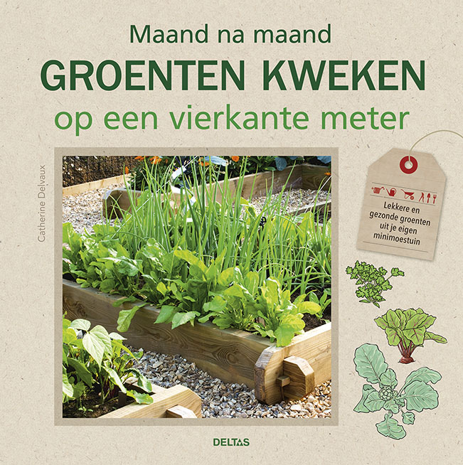 Omslag van Maand na maand groenten kweken op een vierkante meter