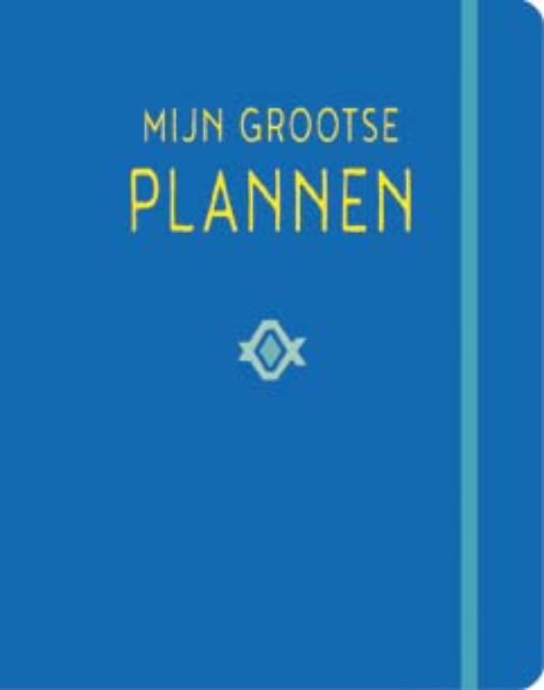Omslag van Mijn grootse plannen