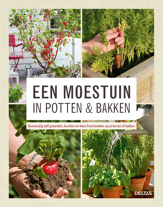 Omslag van Een moestuin in potten en bakken