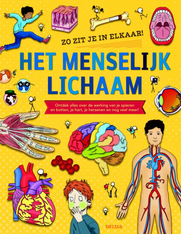 Omslag van Het menselijk lichaam