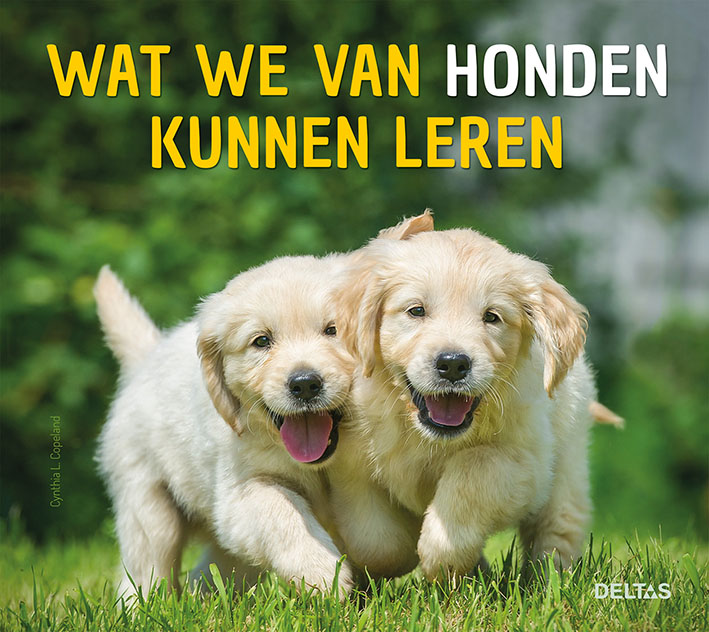 Omslag van Wat we van honden kunnen leren