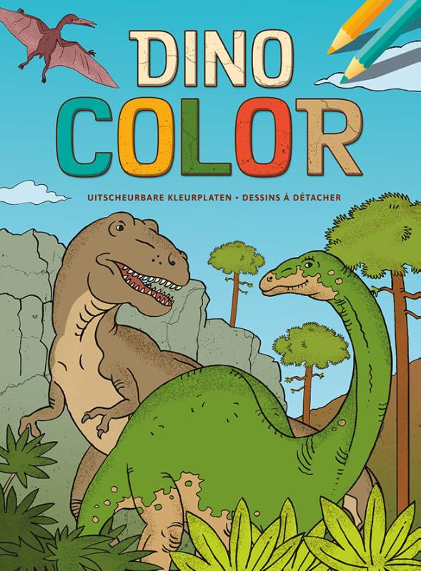Omslag van Dino Color