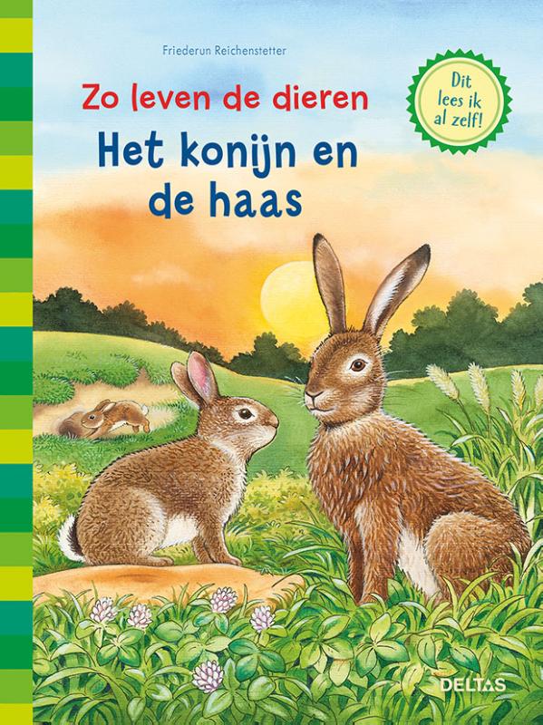 Omslag van Het konijn en de haas