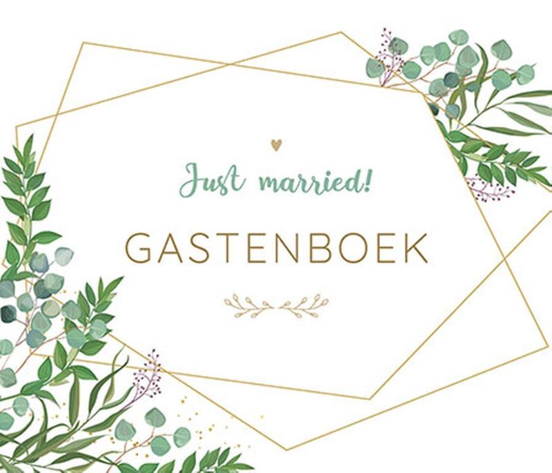 Omslag van Just married! - Gastenboek