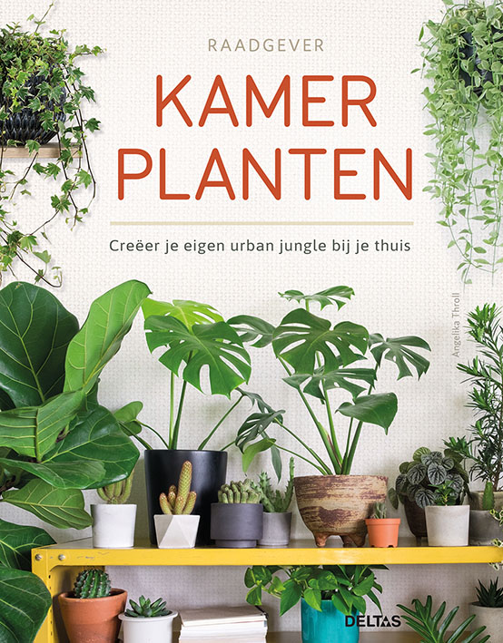Omslag van Raadgever kamerplanten
