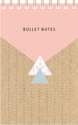Omslag van Bullet notes