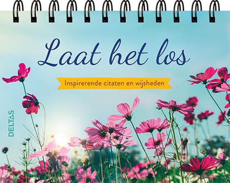 Omslag van Laat het los - Tafelstaander