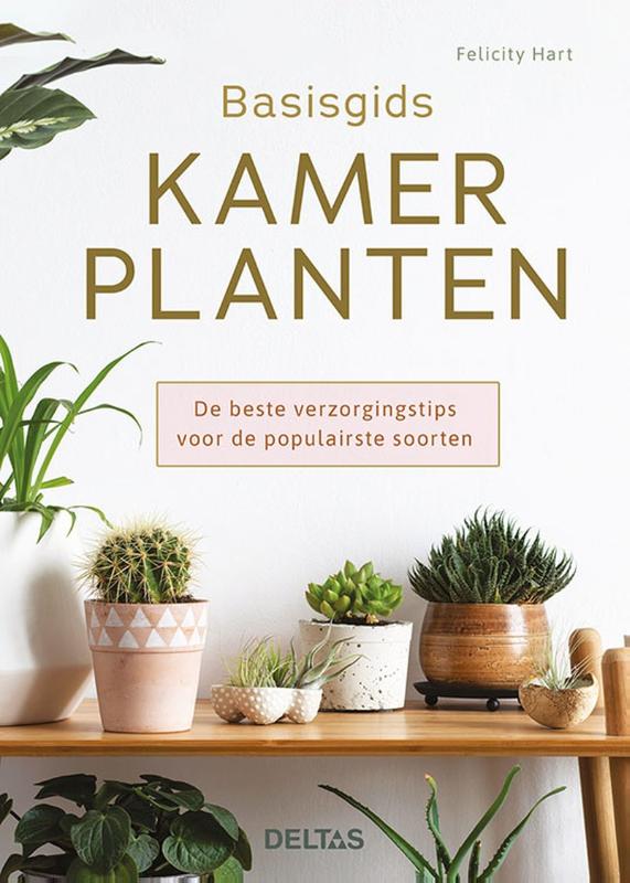 Omslag van Basisgids kamerplanten