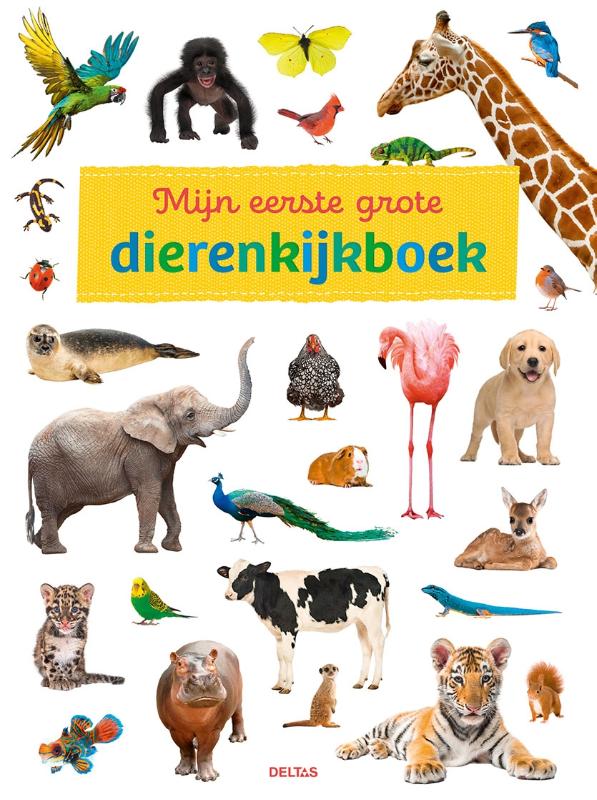 Omslag van Mijn eerste grote dierenkijkboek