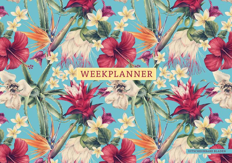Omslag van Weekplanner - Exotic