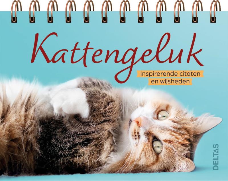 Omslag van Kattengeluk - Tafelstaander
