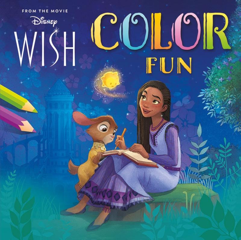 Omslag van Color Fun Wish