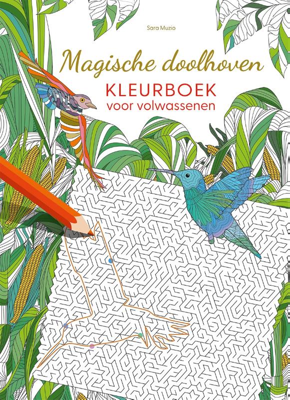 Omslag van Magische doolhoven kleurboek voor volwassenen