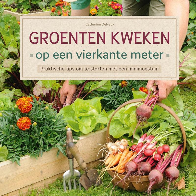 Omslag van Groenten kweken op een vierkante meter