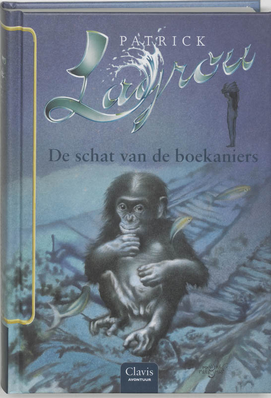 Omslag van De schat van de boekaniers