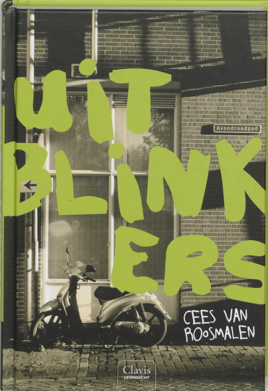 Omslag van Uitblinkers