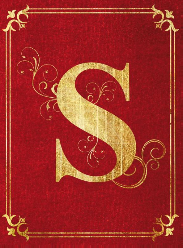 Omslag van Het enige echte boek van Sinterklaas