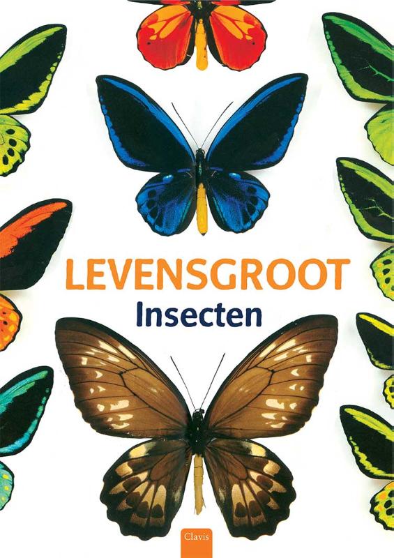 Omslag van Insecten
