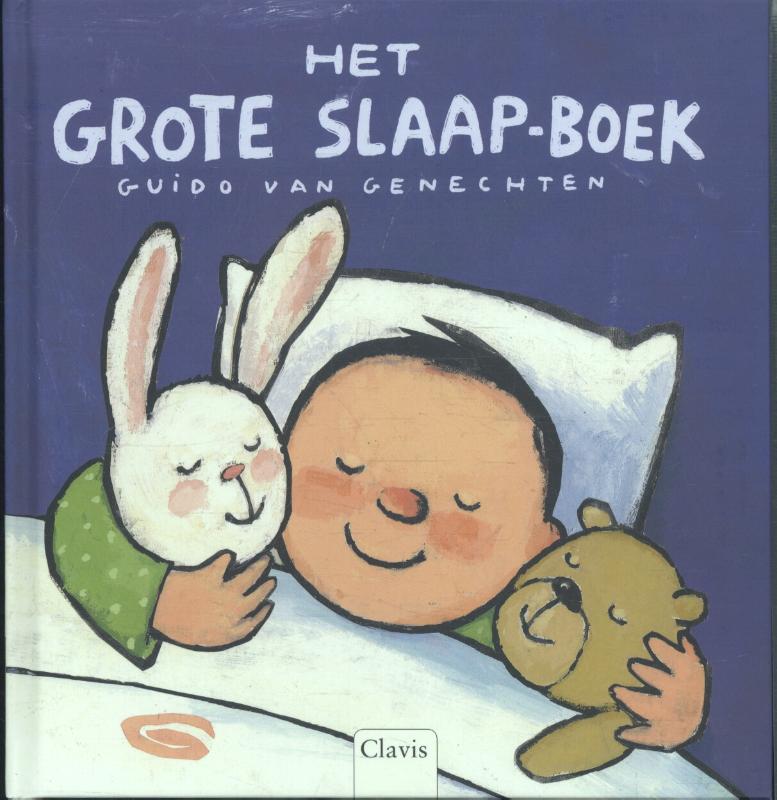 Omslag van Het grote slaapboek