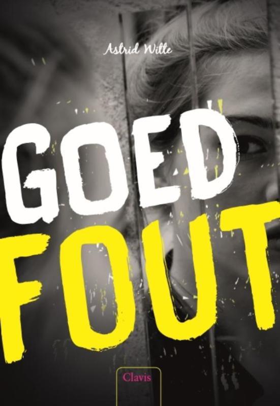 Omslag van Goed fout