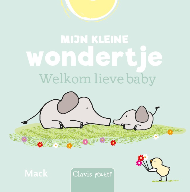 Omslag van Mijn kleine wondertje