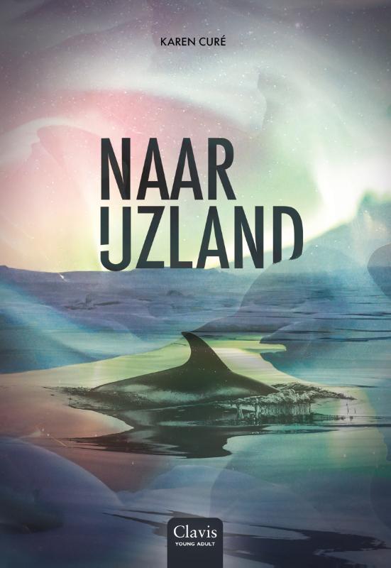 Omslag van Naar IJzland