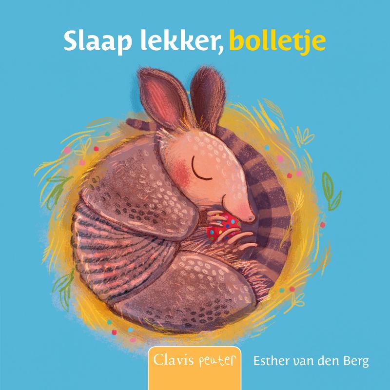 Omslag van Slaap lekker, bolletje