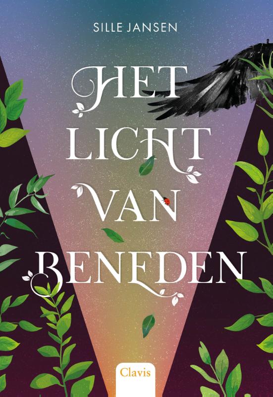 Omslag van Het licht van beneden