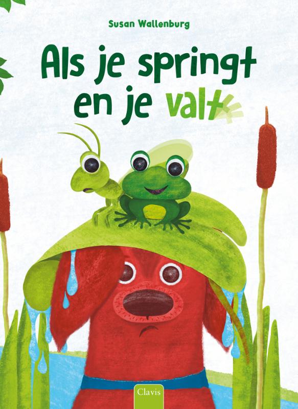 Omslag van Als je springt en je valt