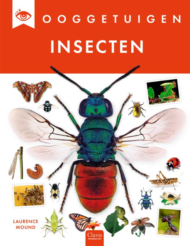 Omslag van Insecten