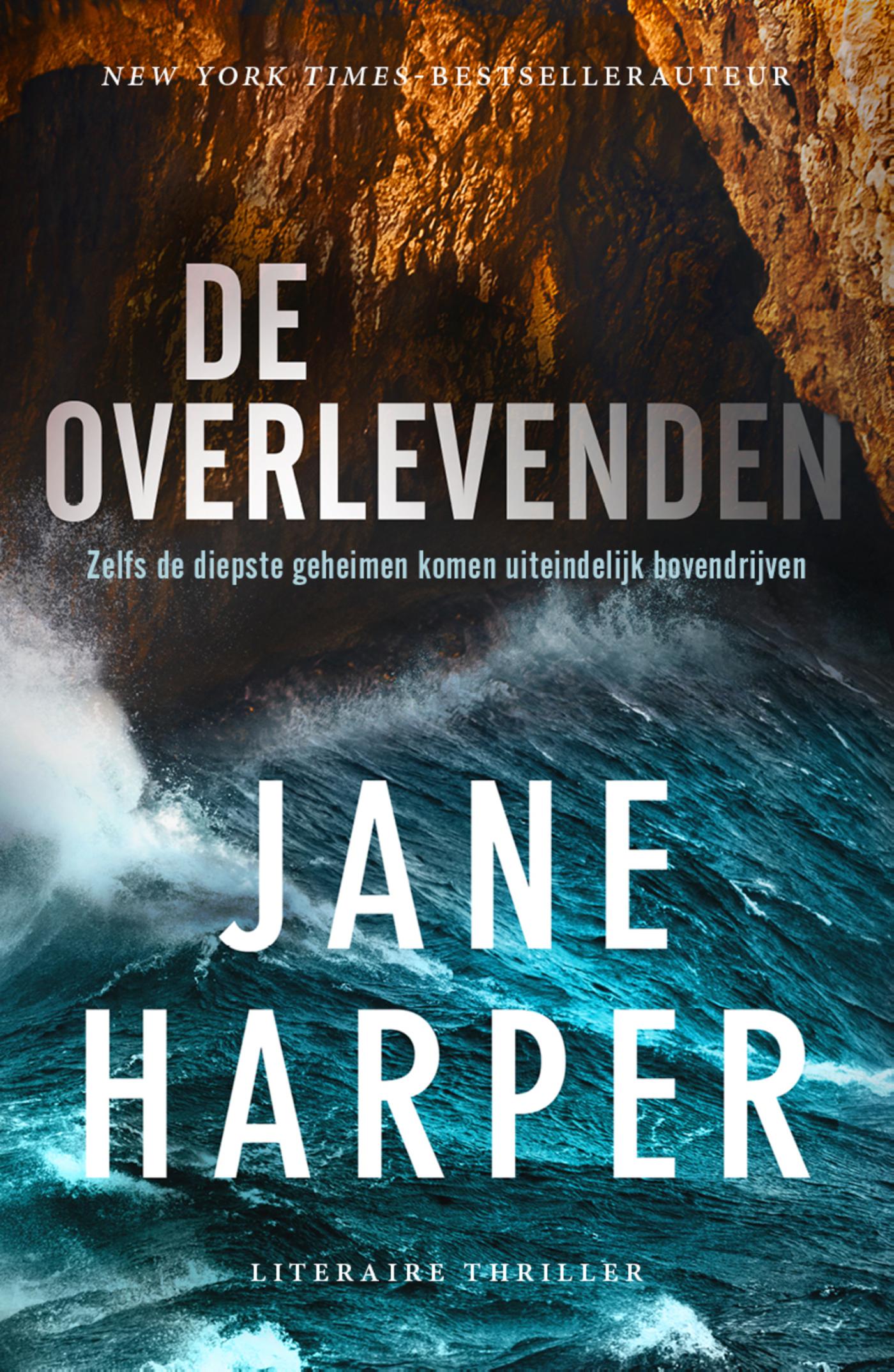 Omslag van De overlevenden