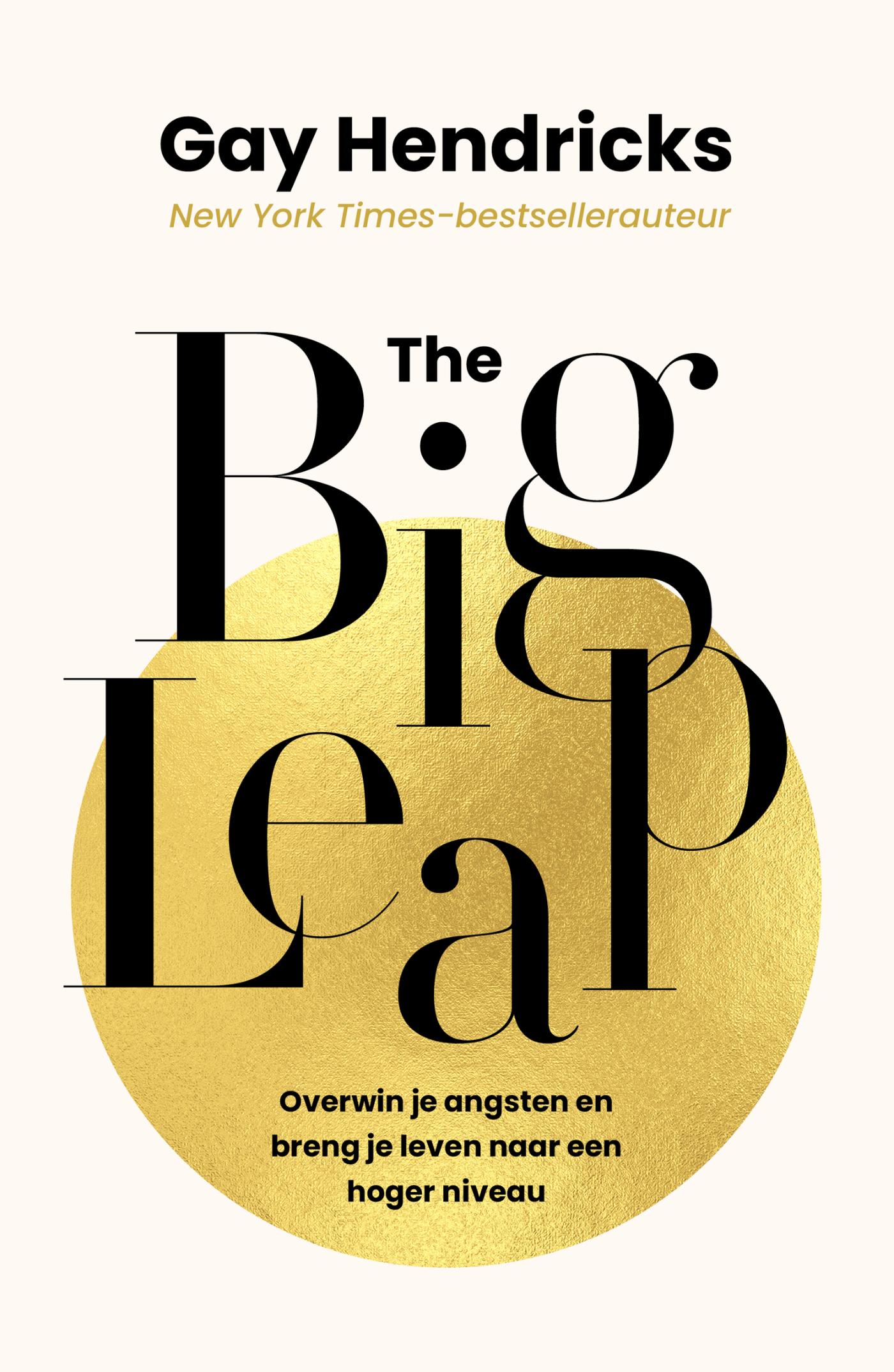 Omslag van The Big Leap
