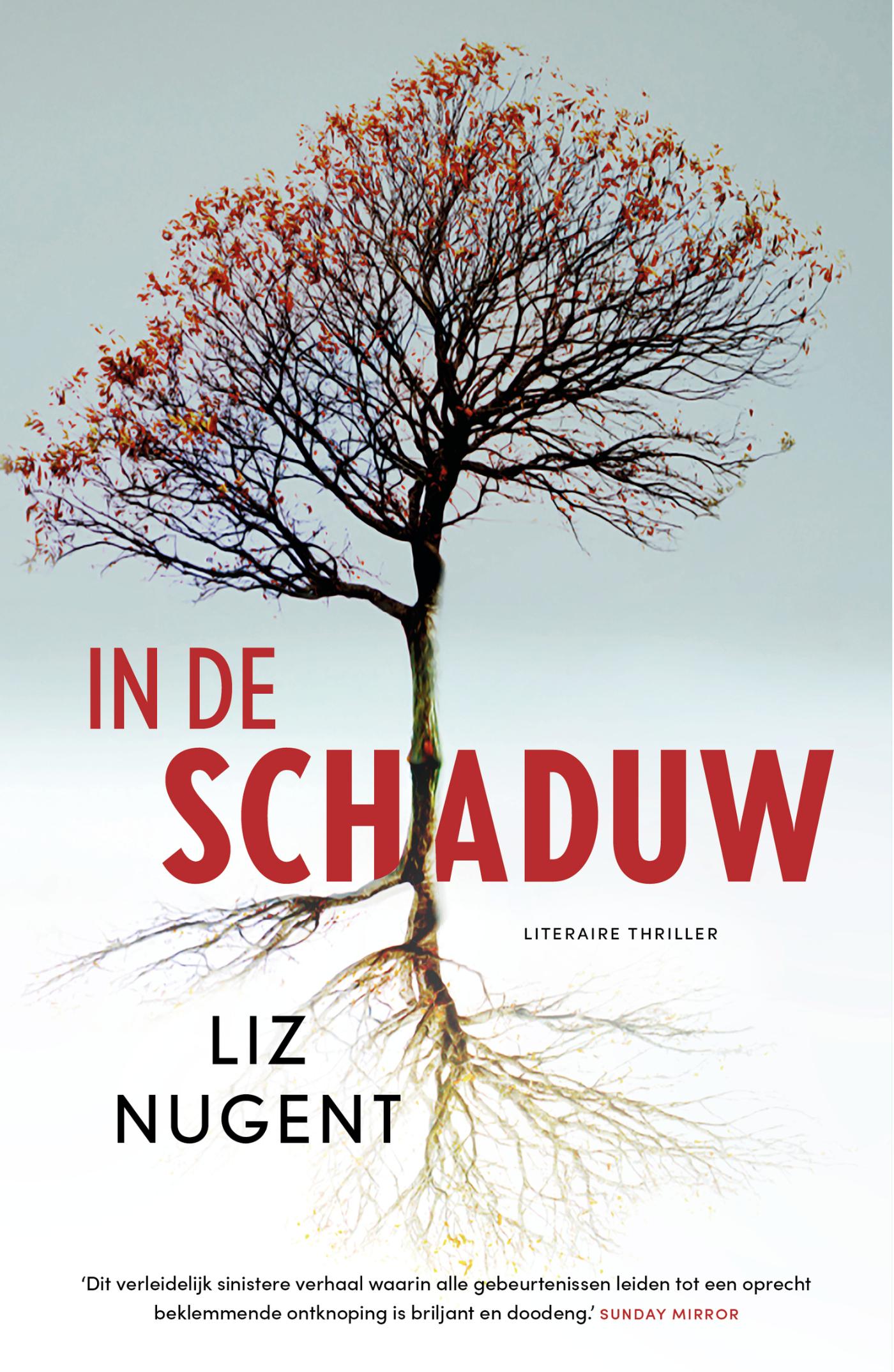Omslag van In de schaduw