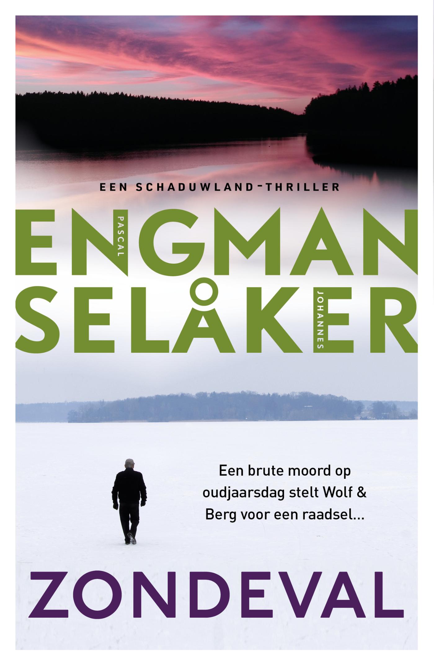 Omslag van Zondeval