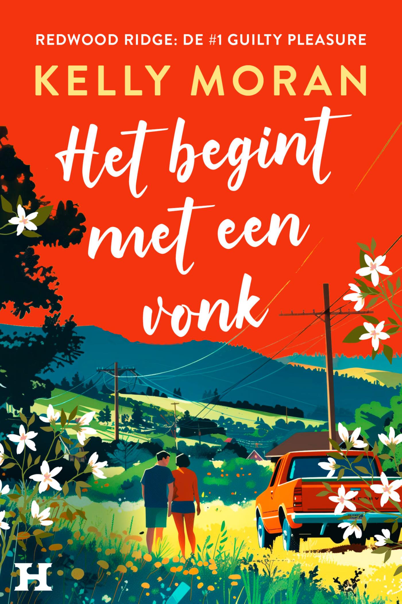 Omslag van Het begint met een vonk