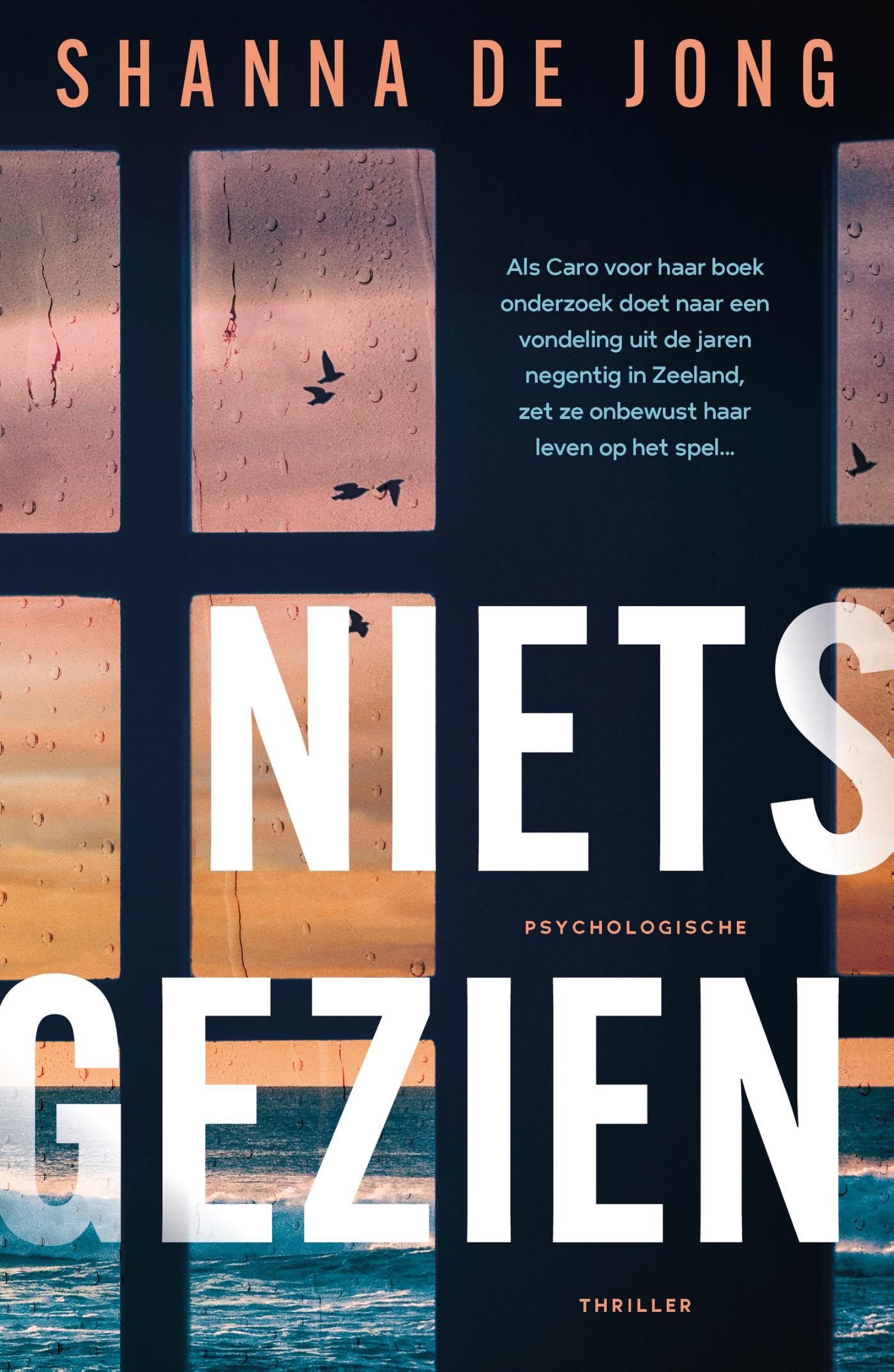 Omslag van Niets gezien