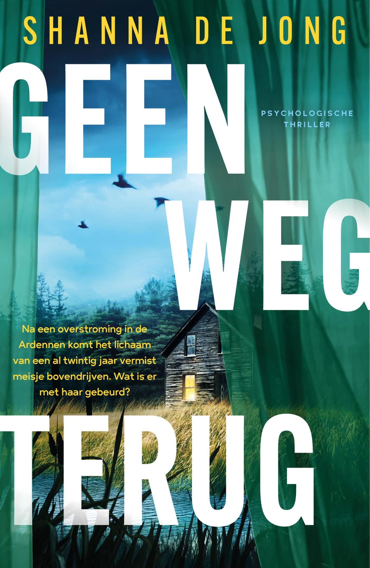 Omslag van Geen weg terug