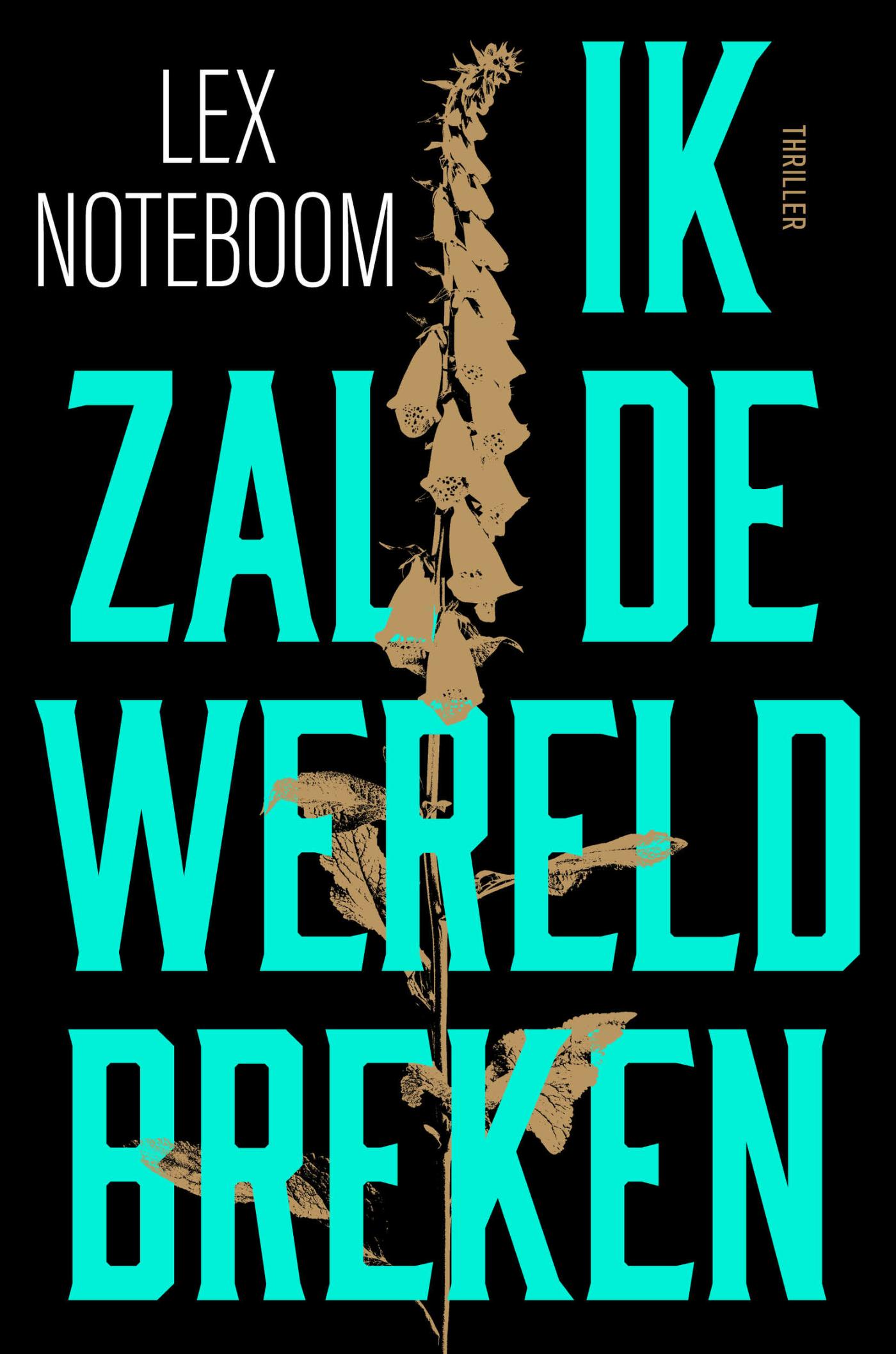Omslag van Ik zal de wereld breken