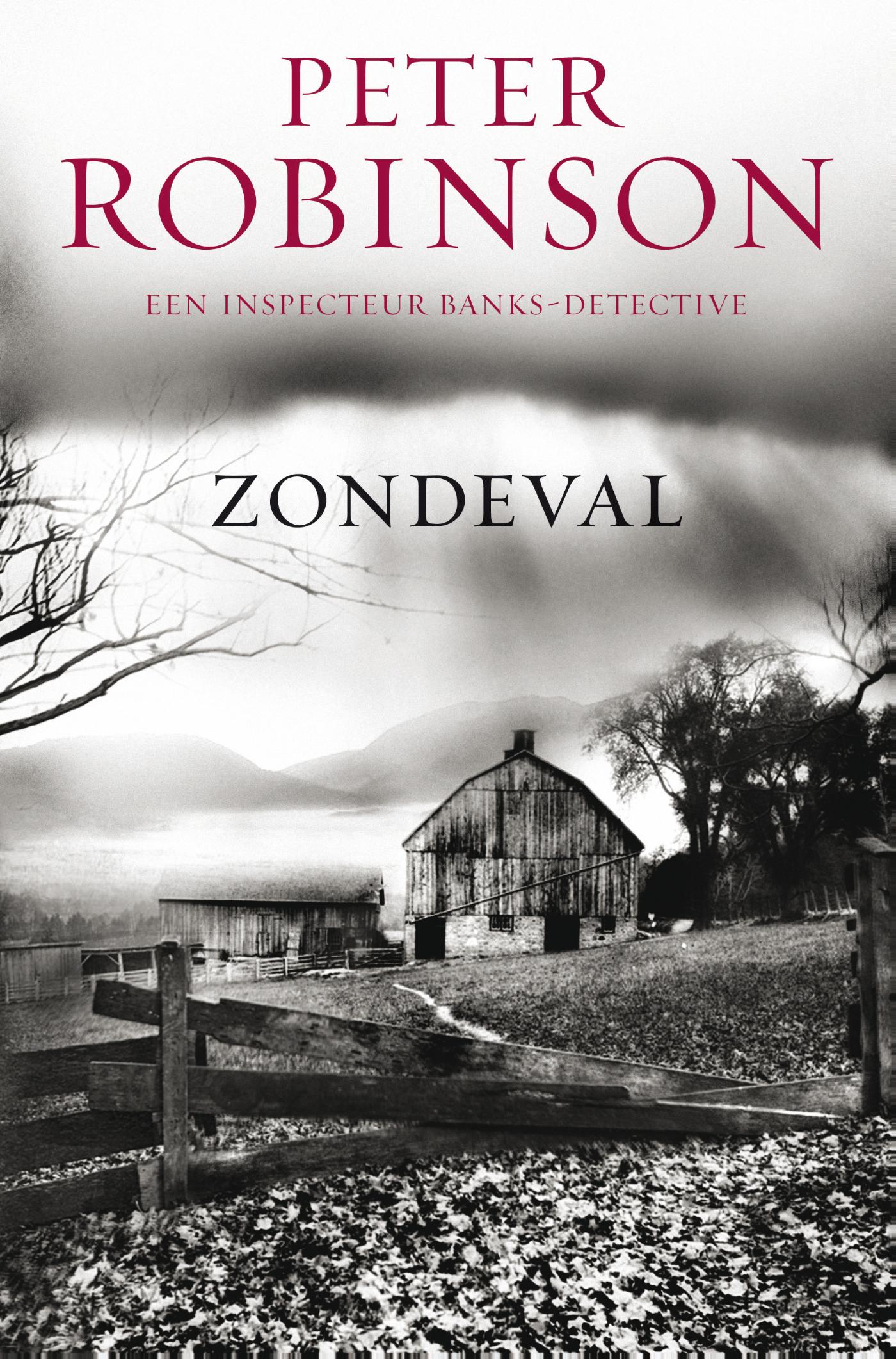 Omslag van Zondeval