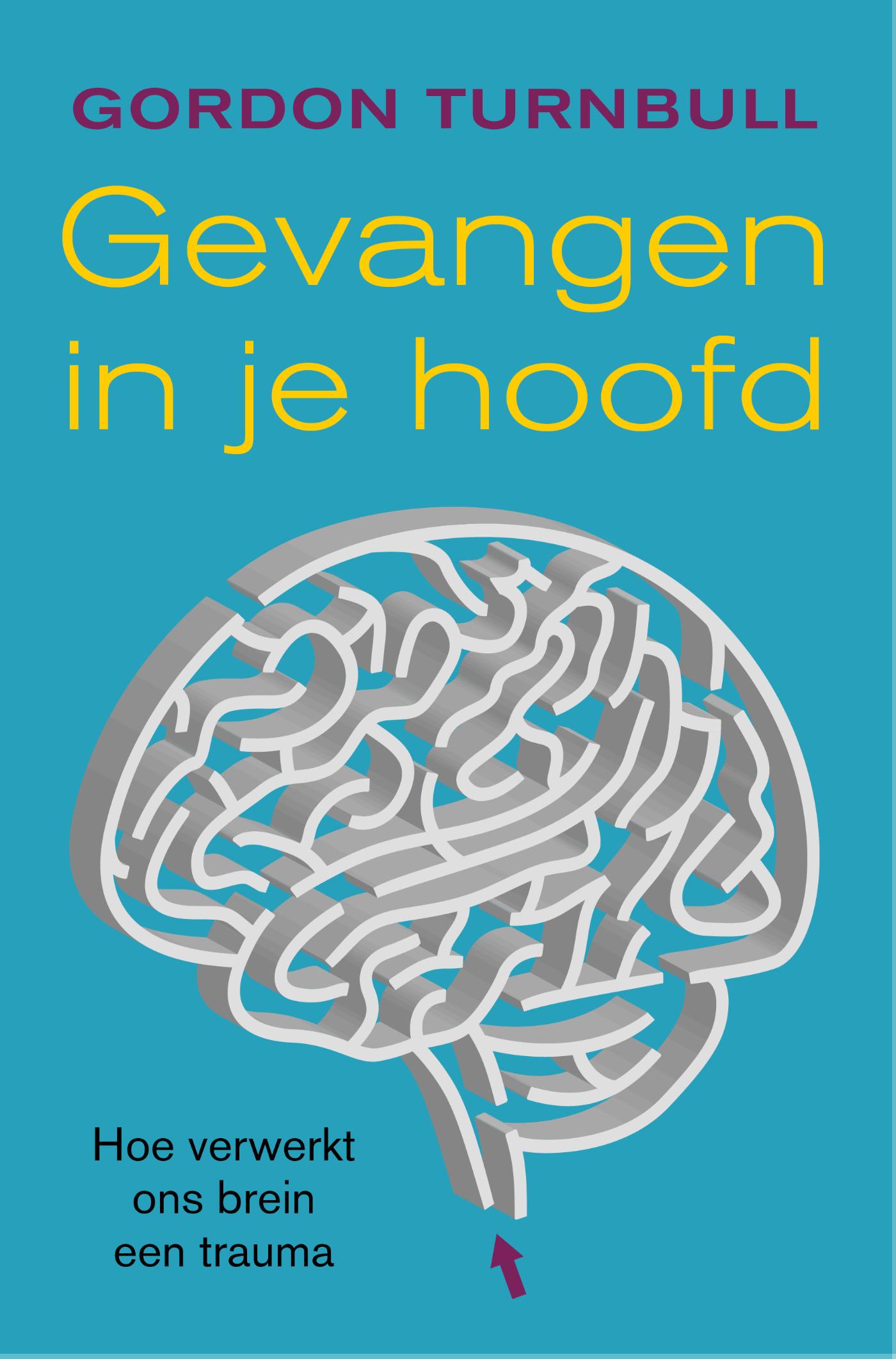 Omslag van Gevangen in je hoofd