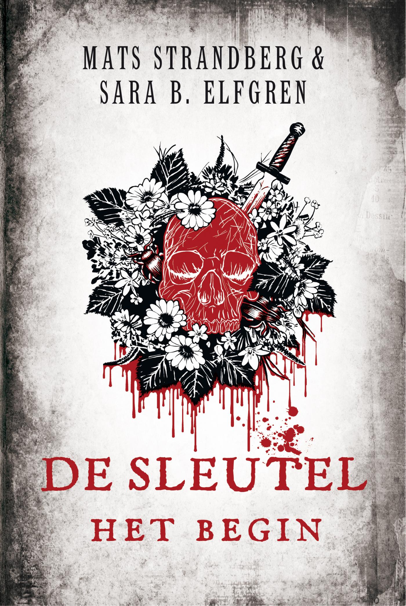 Omslag van De sleutel - Het begin