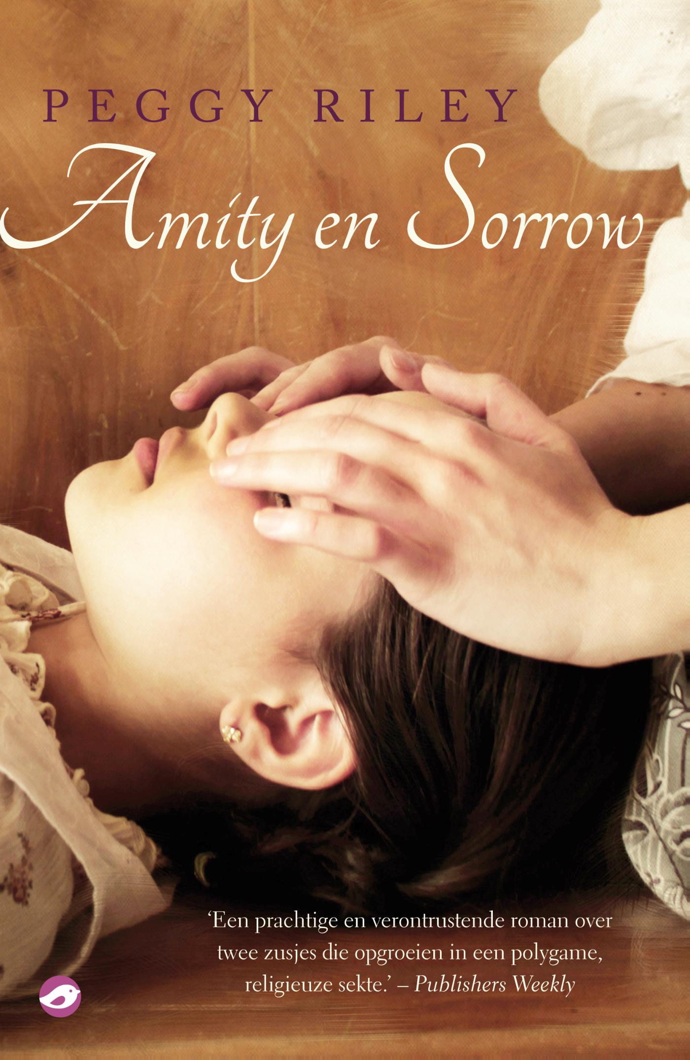 Omslag van Amity en Sorrow