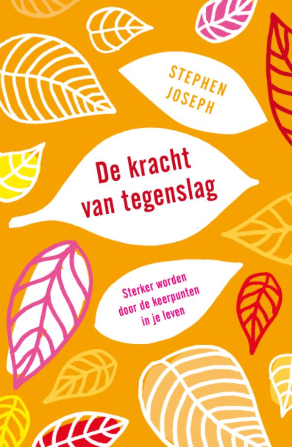 Omslag van De kracht van tegenslag