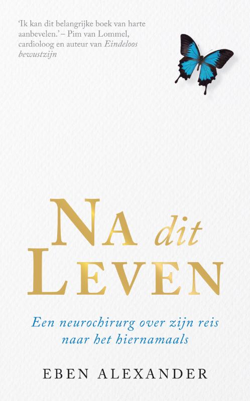 Omslag van Na dit leven