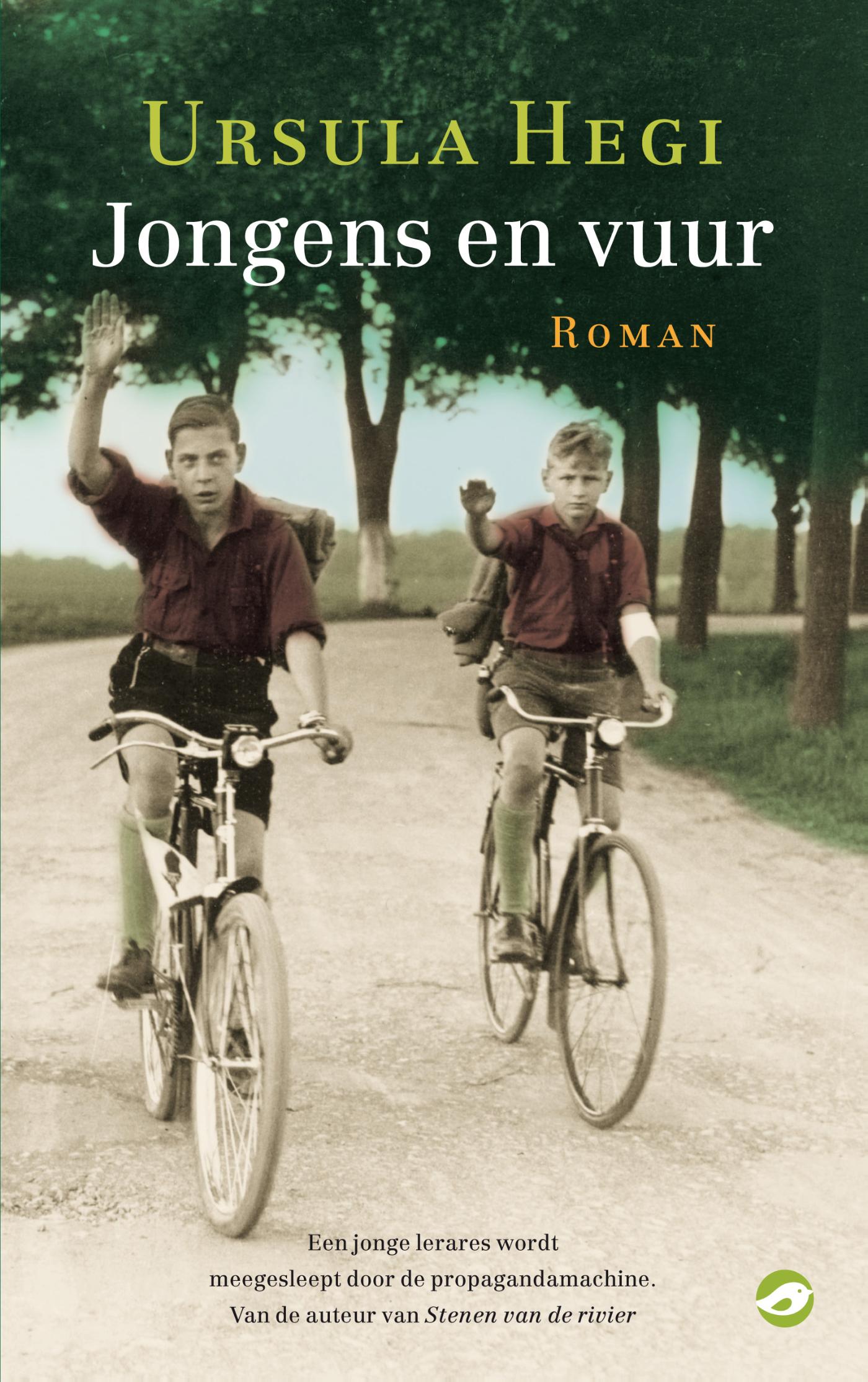 Omslag van Jongens en vuur