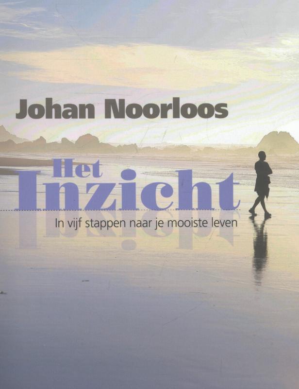 Omslag van Het inzicht