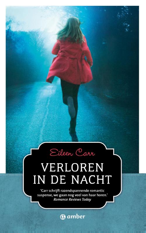 Omslag van Verloren in de nacht